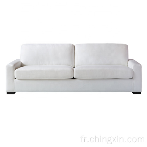 Le sofa blanc moderne de tissu place le sofa de meubles de salon